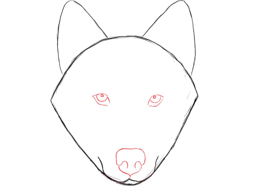 1024x768 How To Draw A Wolf Wolf, Tutorials And Draw Animals