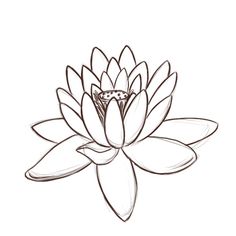 236x236 How To Draw A Water Lily And Pad Step By Step Drawing Tutorials