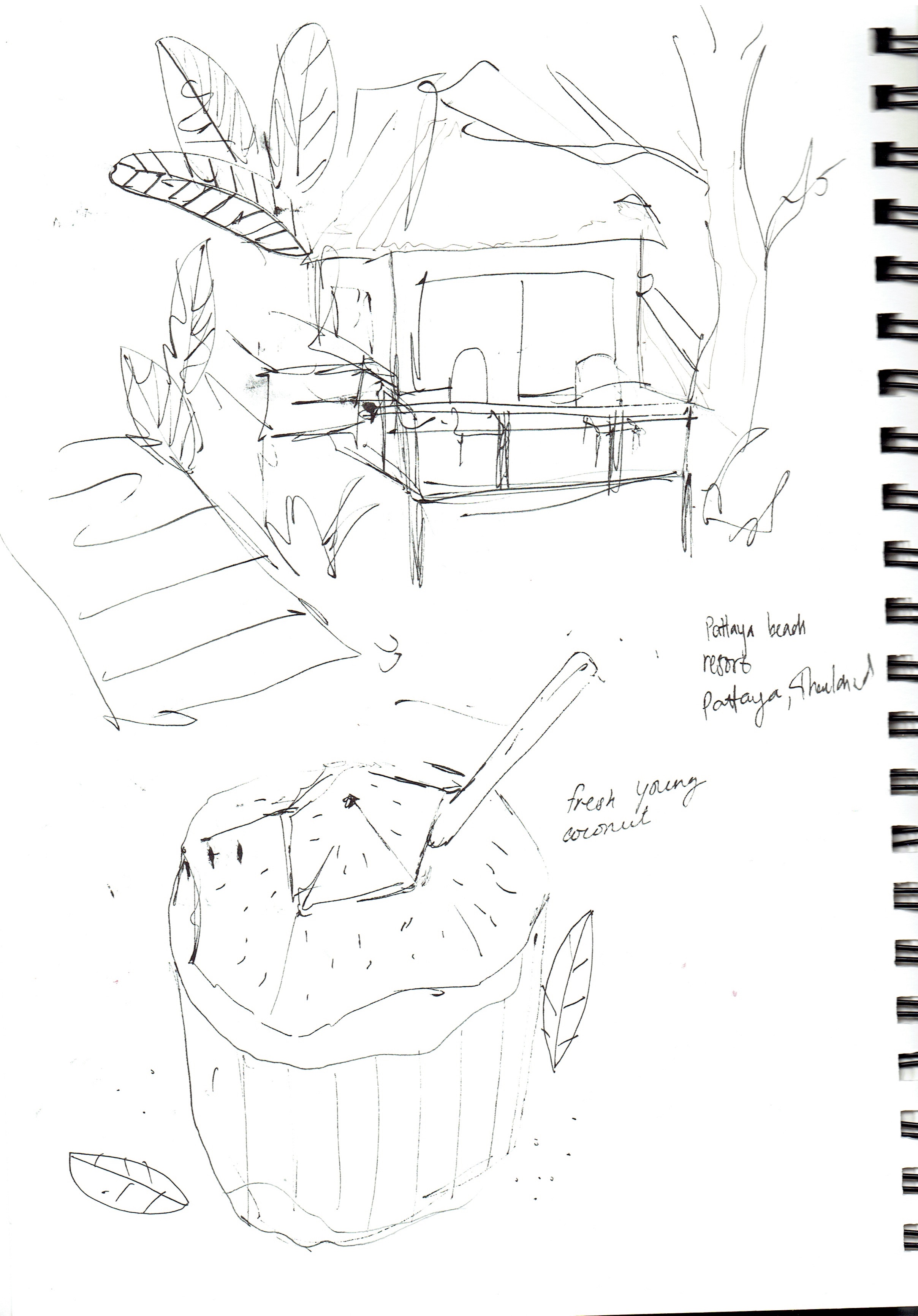 2416x3465 Exercise There And Back Again Learning Log