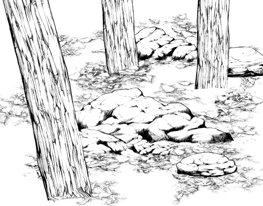 519x407 People Who Sick Of Drawing Natural Object Must See! Draw Forest
