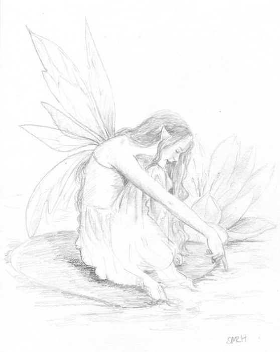 558x700 Sketch Fest!