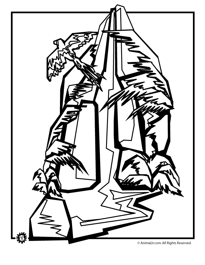 680x880 Rainforest Waterfall Bird Animal Jr.