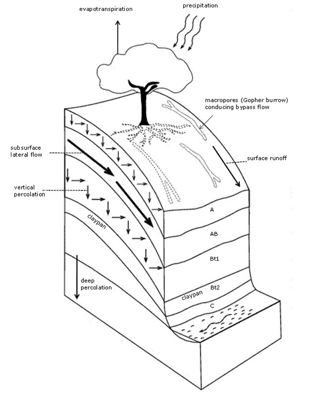 626x794 Soil Water Dynamics Learn Science
