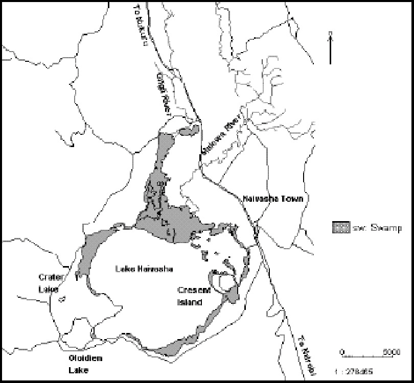 810x750 Effect Of Water Hyacinth Infestation On The Physicochemical