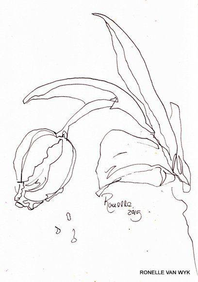 408x580 Flower Sketches Africantapestry