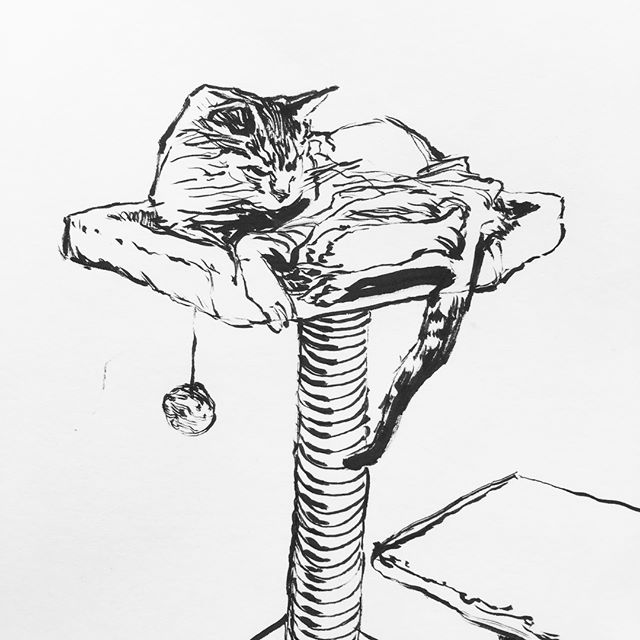 640x640 Hashtagery Photos And Videos On Instagram Storysta