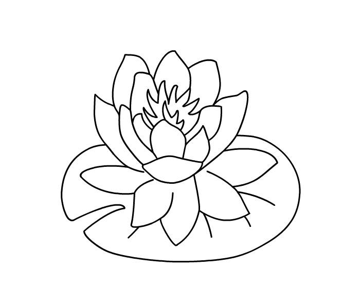 700x600 Water Lily Coloring Page Printable Coloring Pages