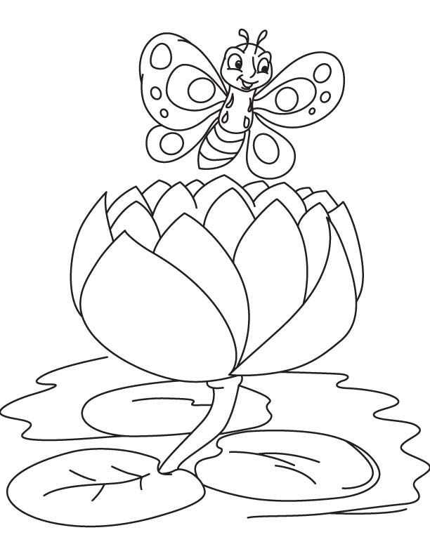 612x792 Butterfly On A Big Water Lily Coloring Page Download Free