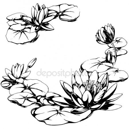450x450 Water Lily Stock Vectors, Royalty Free Water Lily Illustrations