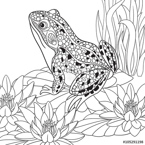 500x500 Zentangle Stylized Cartoon Frog Sitting Among Lotus Flowers, Water