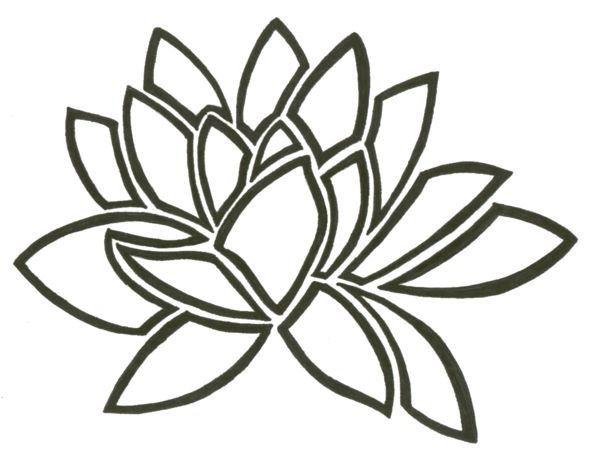 600x465 How To Draw A Water Lily Step 4. How To Draw A Lotus Flower Water