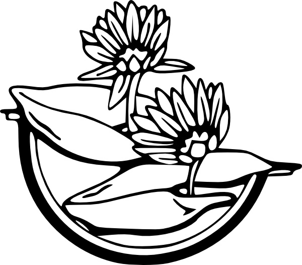 600x526 Water Lily Clip Art Free Vector In Open Office Drawing Svg ( Svg