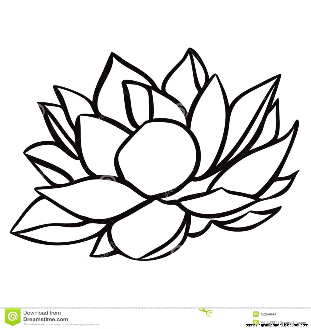 1222x1292 Simple Water Lily Drawing Amazing Wallpapers