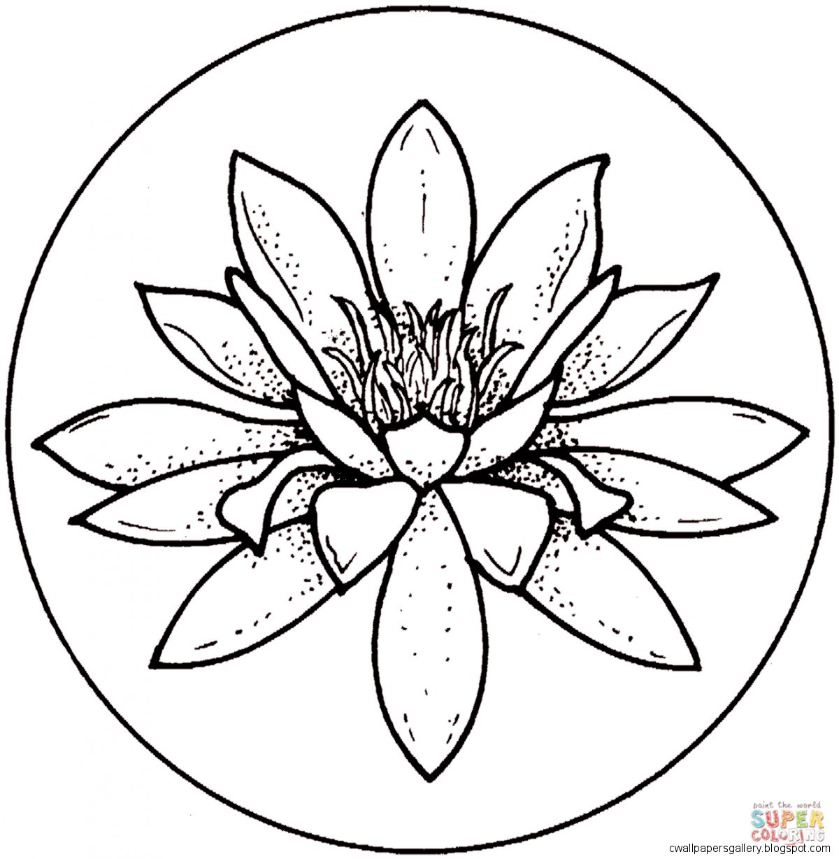 1200x1228 Simple Water Lily Drawing Wallpapers Gallery