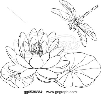 350x327 Water Lily And Dragonfly. Patterns Water Lilies