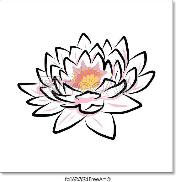 561x581 Free Art Print Of Hand Drawing Water Lily, Lotus, Flower. Hand