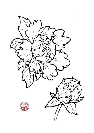 322x456 Japanese Flower Drawing Pin Water Lily Flower 8 Media