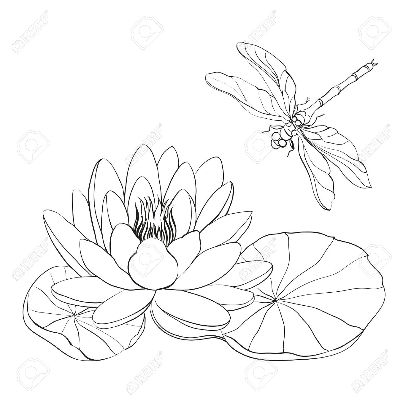 1300x1300 Lily Cliparts, Stock Vector And Royalty Free Lily Illustrations