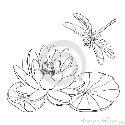 400x400 Water Lily Clipart Abstract Water