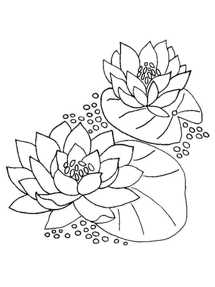 750x1000 Lily Flower Coloring Pages Coloring Page For Kids