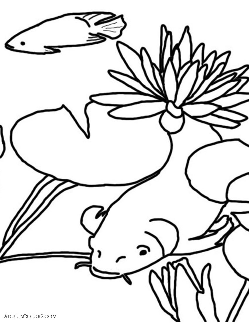 850x1100 Lotus Flower Or Water Lily Coloring Page