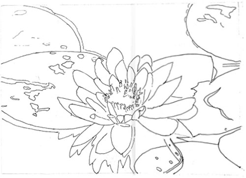 500x363 Sally's Water Lily