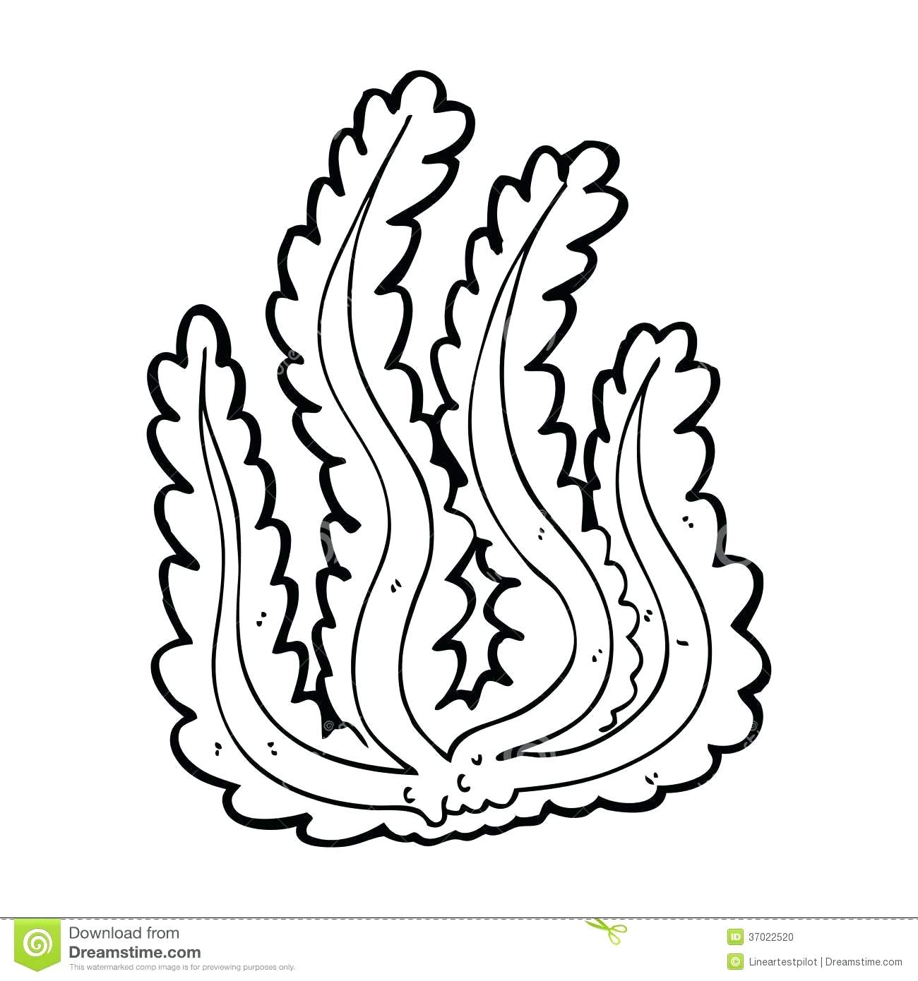 1300x1390 Coloring Water Lily Coloring Page Religion Symbol Best Lotus