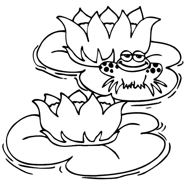 613x615 Coloring A Frog Sitting On A Water Lily Picture