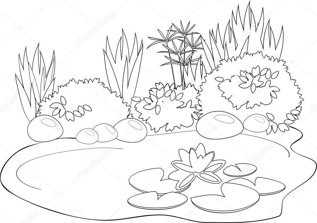 1024x720 Coloring Pond With Water Lily Stock Vector Mariaflaya