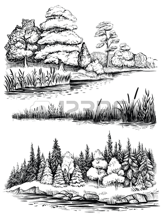 338x450 River Vector Landscape With Trees And Water Plants, Hand Drawn