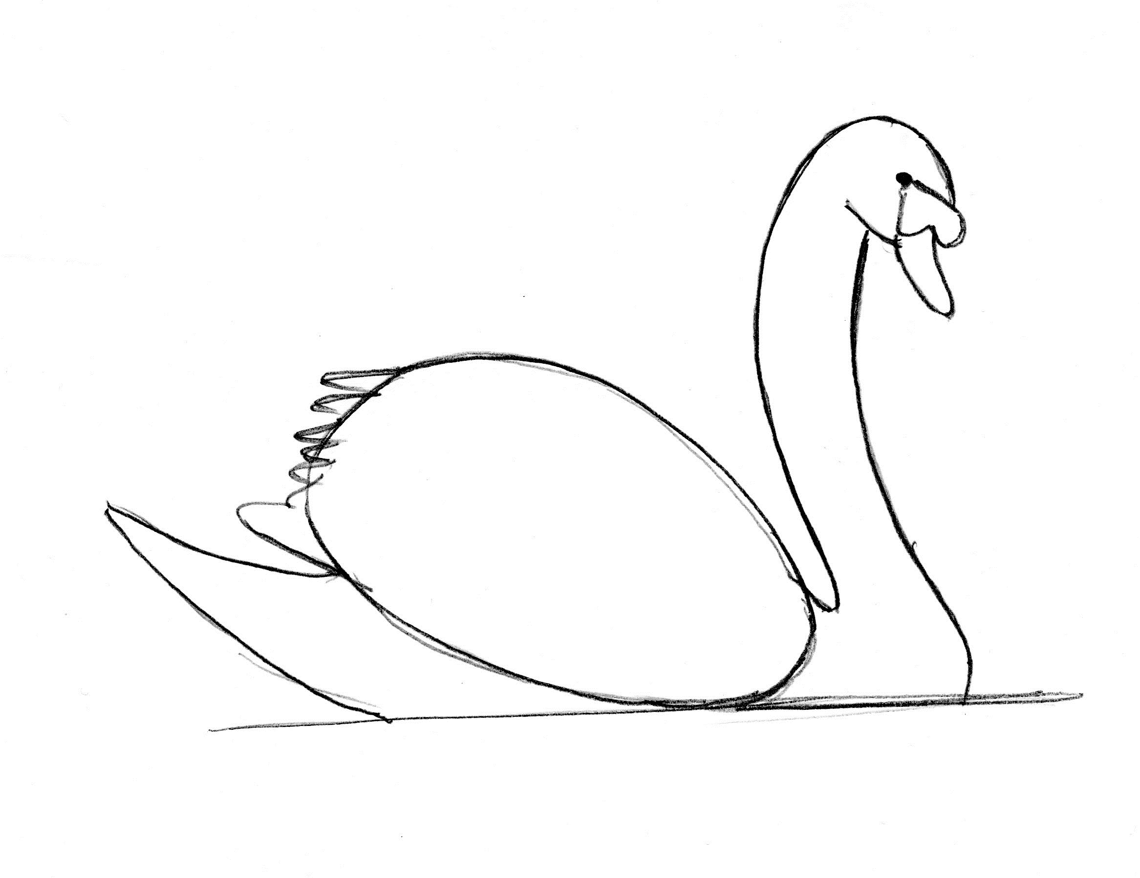 2333x1796 Swan Drawing Step By Step