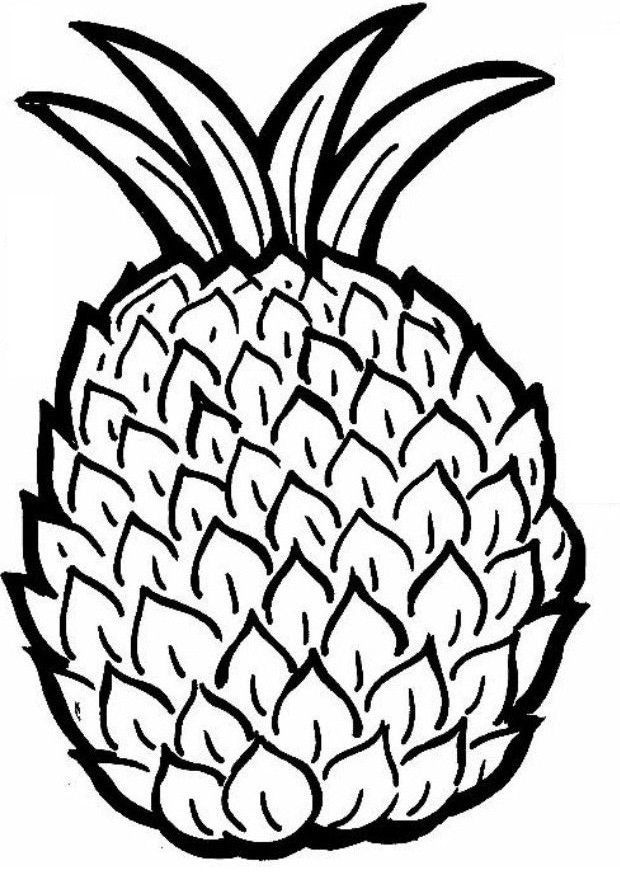 620x875 Pineapple Coloring Pages On How To Draw Watermelon Pineapple