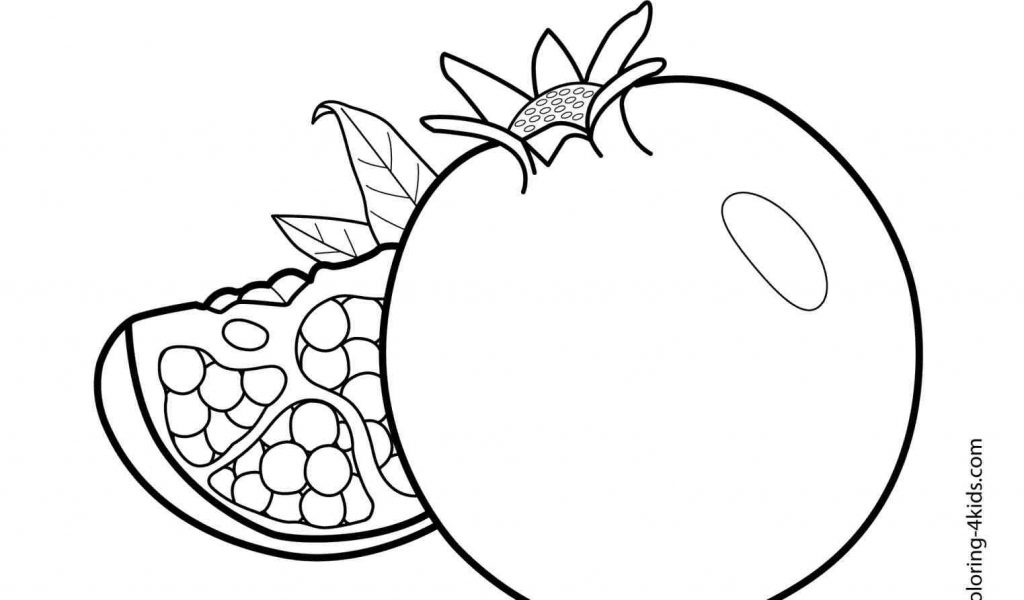 1024x600 The Images Collection Of Freecolorngpagesco Watermelon Drawing