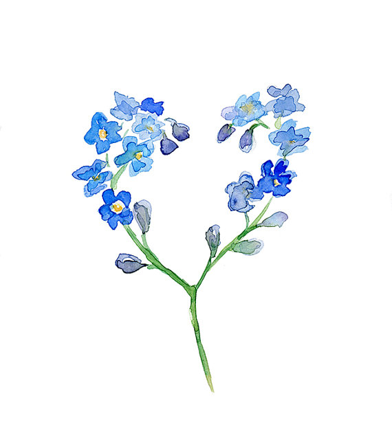 570x615 Flower Watercolor Painting