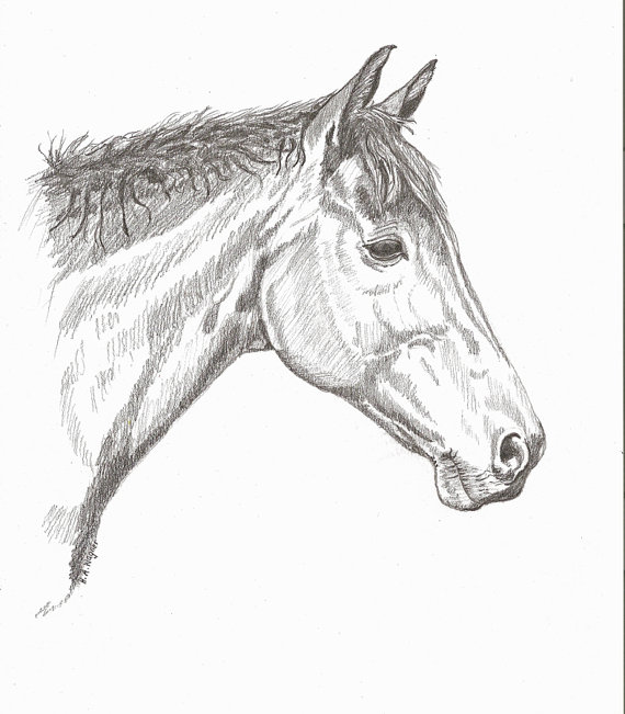 570x651 Hey, I Found This Really Awesome Etsy Listing