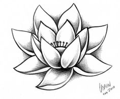 236x195 Simple Water Lily Drawing Water Lily Pencil Drawings Stencils