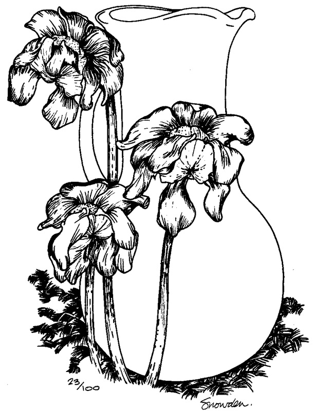 609x800 Miscellaneous Illustrations