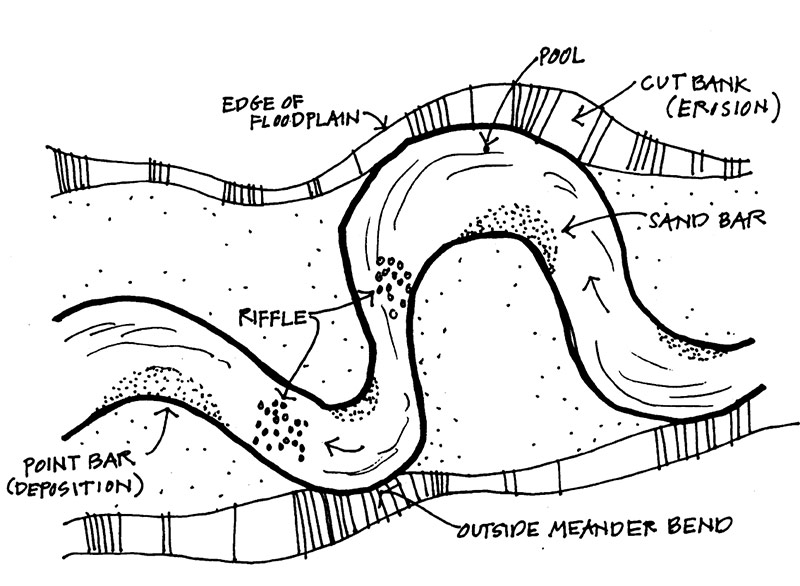 800x586 Engaging Youth For Lifelong Watershed Protection