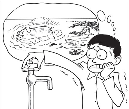 430x364 Looking Beyond Dead Pigs To Understand Pollution Shanghai Daily