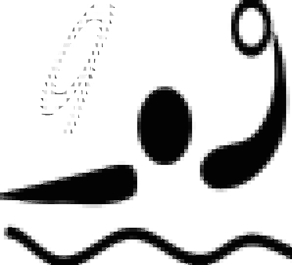 596x540 Water Polo, Diversion, Pictogram, Sign, Sport, Ball, Sphere, Pool