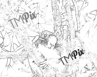 340x270 Fall Leaves Nature Photography Autumn Pond Water