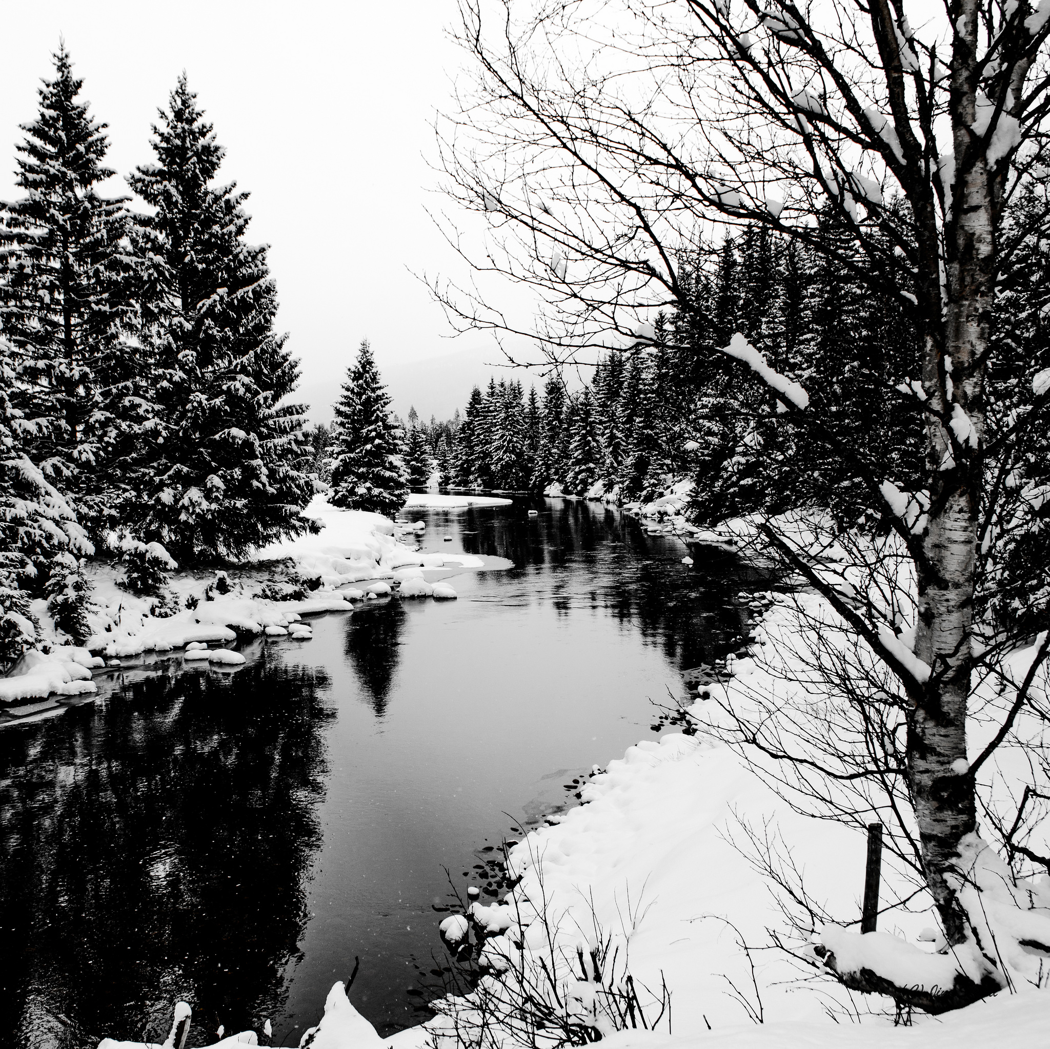 2048x2047 Jim Skarli