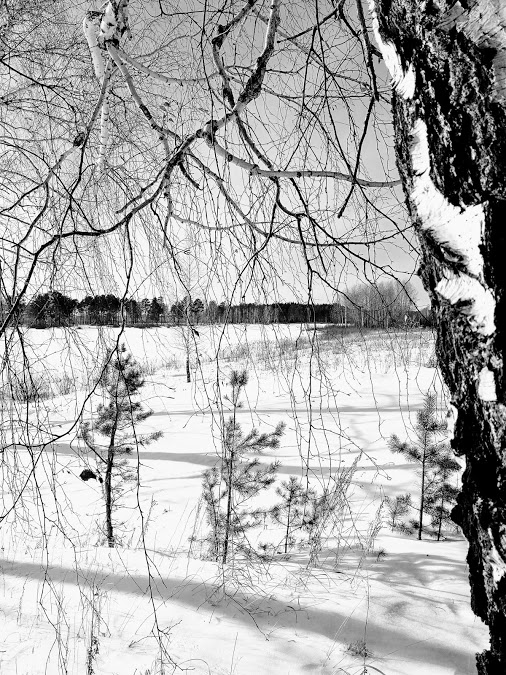 506x675 Mikhail Vasilyev