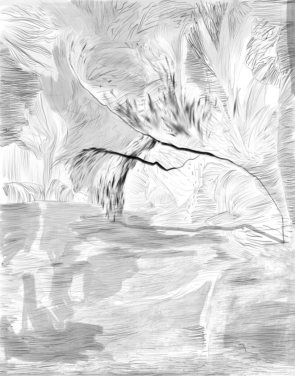 1000x1273 Tempest And Other Drawings Catarina Coelho