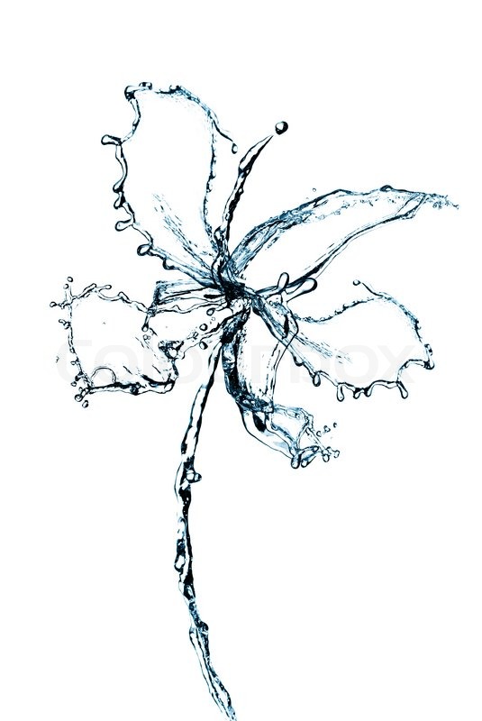 535x800 Orchid Flower Made Of Water Splash Isolated On White Background