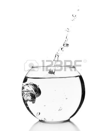 382x450 Abstract Composition Of Water. Small Aquarium Isolated On White
