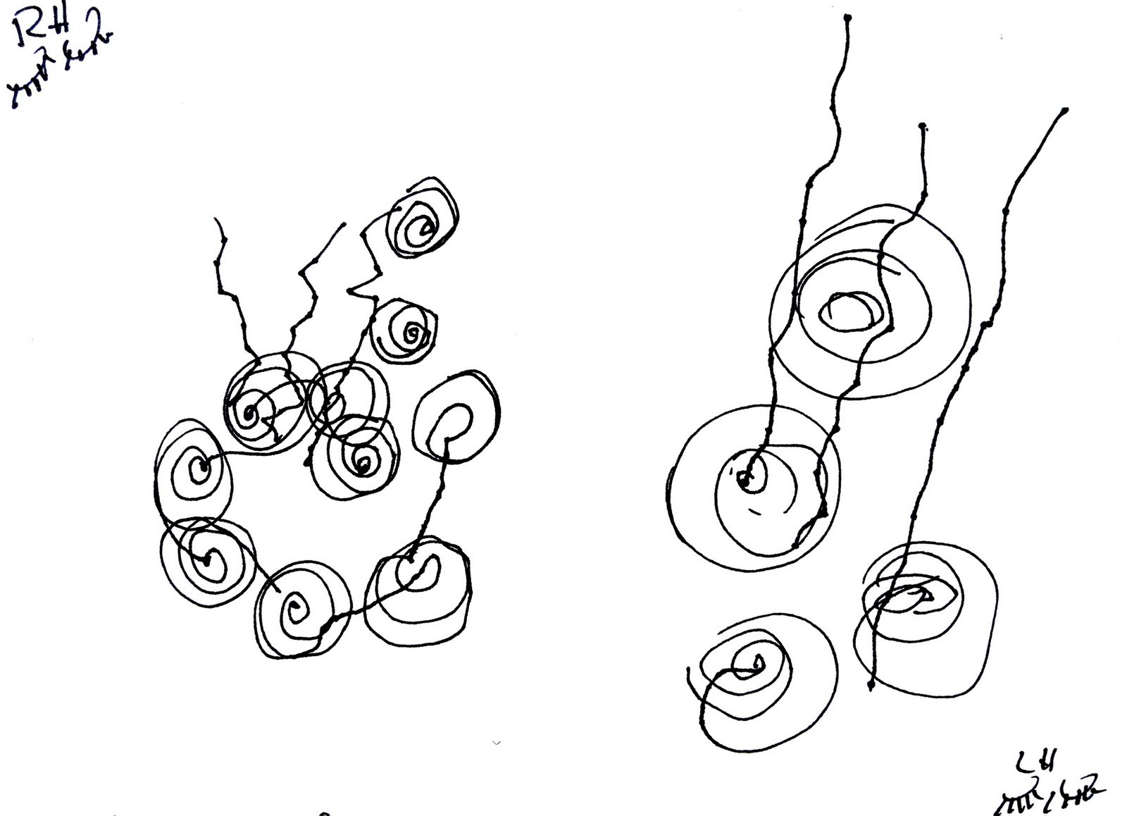 1600x1158 Water Walkers