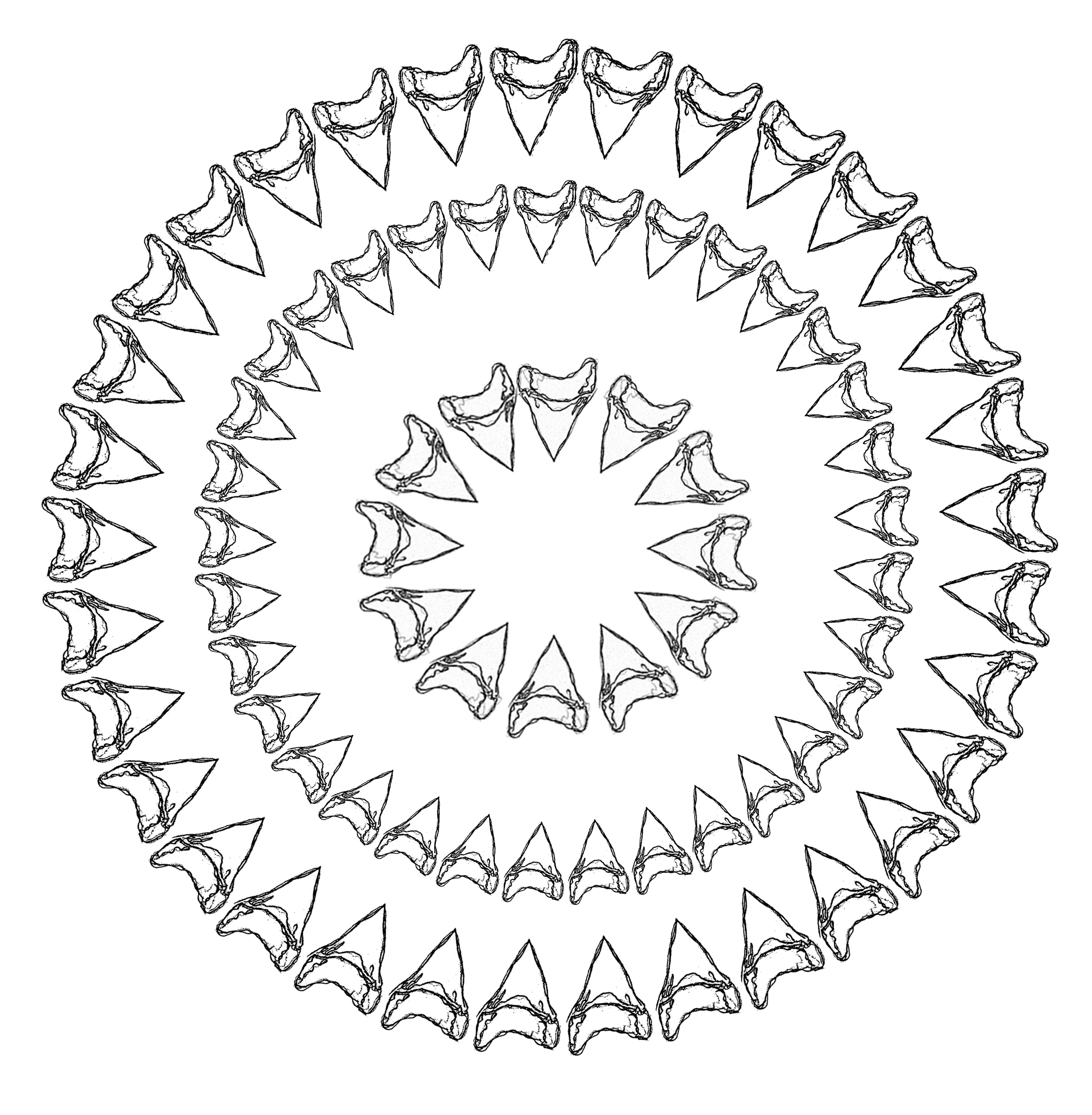 3508x3583 Teeth Cirlce02 Copy.jpg