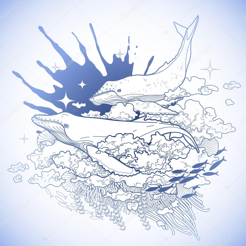 1024x1024 Graphic Whales Flying In The Sky Stock Vector Homunkulus28