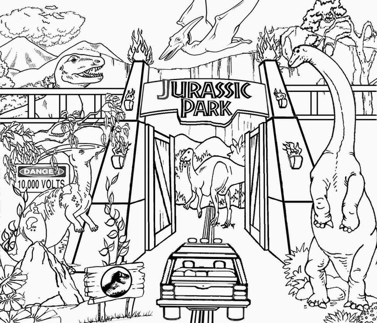 736x630 Water Park Coloring Pages